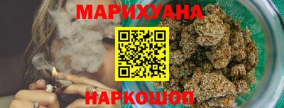 трава Гатчина