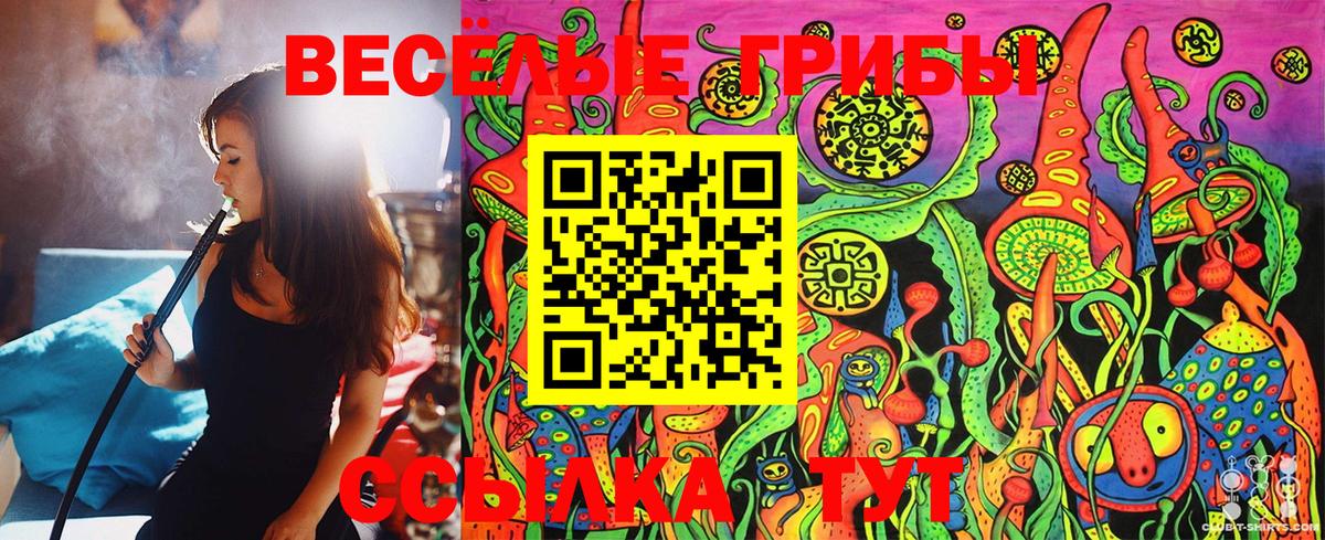 Псилоцибиновые грибы MAGIC MUSHROOMS  Псилоцибиновые грибы Psilocybe  Вход с VPN  Кыштым 